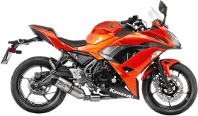 14181eu Leo Vince Lv One Evo Stainless Steel 2-into-1 Exhaust System