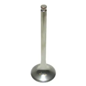 77536031000 Rareelectrical 28.6351-1a1 New Exhaust Valve Fits Gas Xcf-w 350cc Fe By 28.6351-1