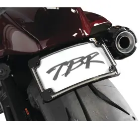 013-541 Two Bros Brothers Racing Fender Eliminator For Sportster S 2021-2025