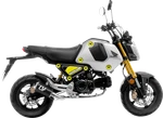 Leovince Carbon Fiber LV-10 Exhaust Motorcycle High Performance Durable. Fixed Price $412.66.