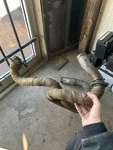 1999 Buell X1 M2 S1 Lightning Exhaust Header Pipe O2 Sensor. Fixed Price $248.00.