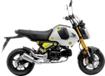 Leovince LV-10 Exhaust Stainless Steel 15252U. Fixed Price $357.62.