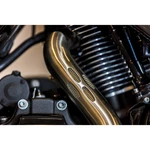 S&s Cycle Exh 50ST 2-1 Ss 17-20 Fl 550-0999A. Fixed Price $1638.70.
