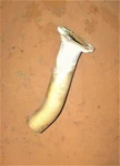 Honda 225 Hp Stroke Exhaust Pipe L & Pn 18340-ZY3-020 Fits 2006 And Up. Fixed Price $52.15.