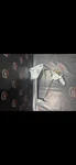 00-05 Honda S2000 AP1/AP2 Driver Side Lh Window Regulator. Fixed Price $199.99.