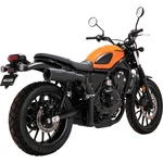 Vance & Hines Hi-output Black Slip-on Exhaust Muffler (48429). Fixed Price $446.31.