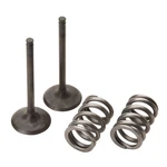 Pro Steel Exhaust Valve/spring Kit For Suzuki RMZ450 2008-2022. Fixed Price $130.30.