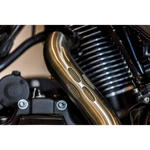 S&s Cycle Exh 50ST 2-1 Ss 17-20 Fl 550-0999A. Fixed Price $1896.65.