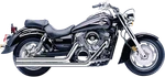 Cobra Speedster Long Exhaust VN1600A Models By. Fixed Price $913.96.