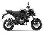 Leovince Full Exhaust System Gp Corsa Black Kawasaki Z 125 Pro Mini 2017 2024. Fixed Price $217.06.