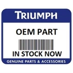 Triumph M10 Flanged Locknut T3350250. Fixed Price $24.99.